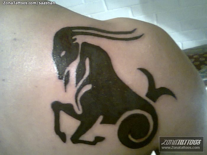 Tattoo photo Rams, Animals