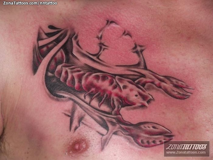 Tattoo photo Crabs, Animals