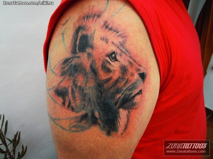 Foto de tatuaje Cover Up, Leones, Animales