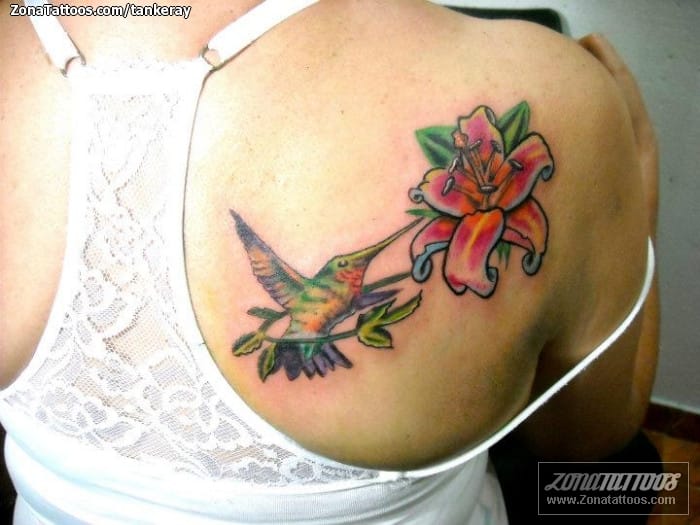 Foto de tatuaje Colibríes, Aves, Animales