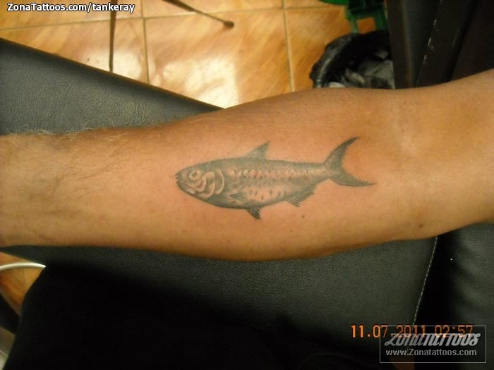 Tattoo photo Fish, Animals