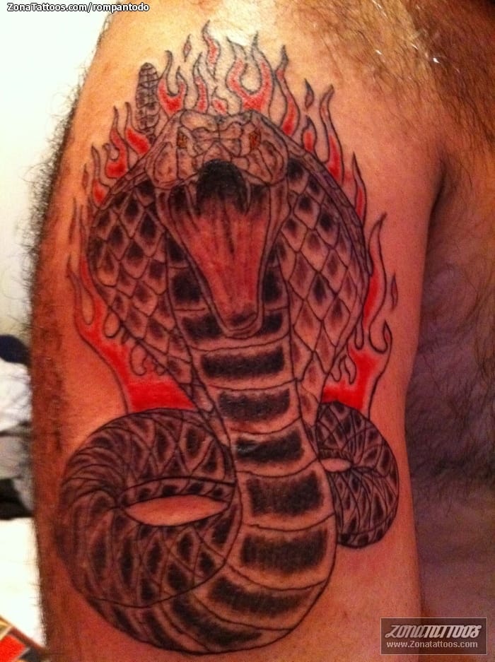 Tattoo photo Snakes, Animals