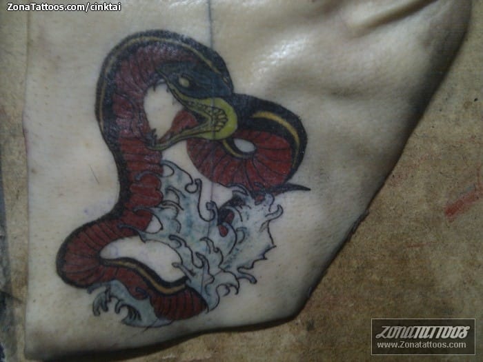 Foto de tatuaje Serpientes, Animales