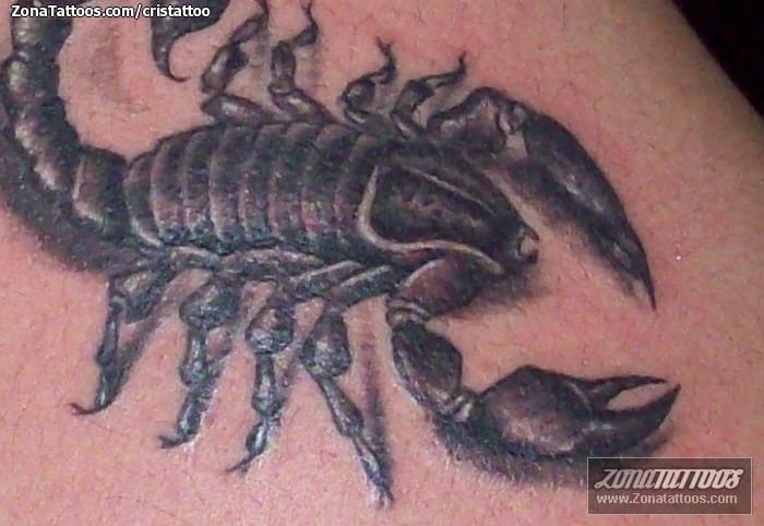 Tattoo photo Scorpions, Insects