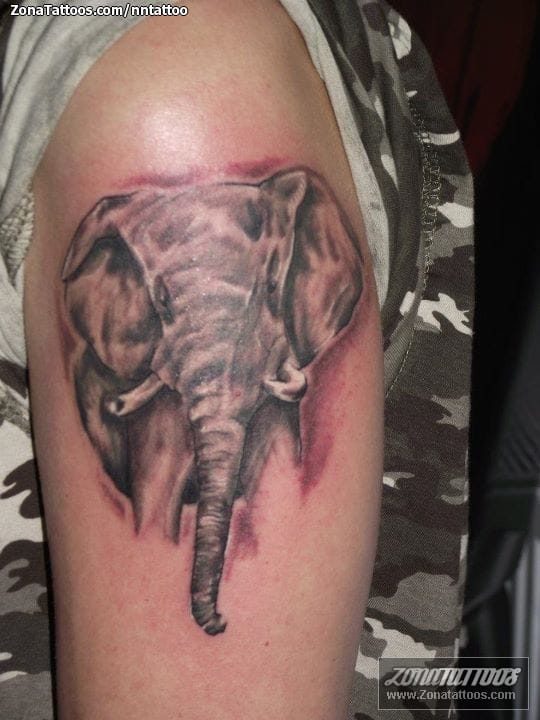 Tattoo photo Elephants, Animals