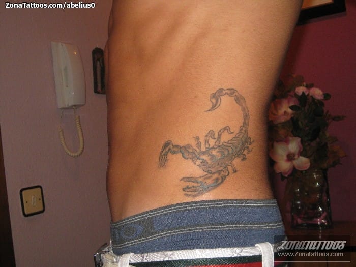 Tattoo photo Scorpions, Insects