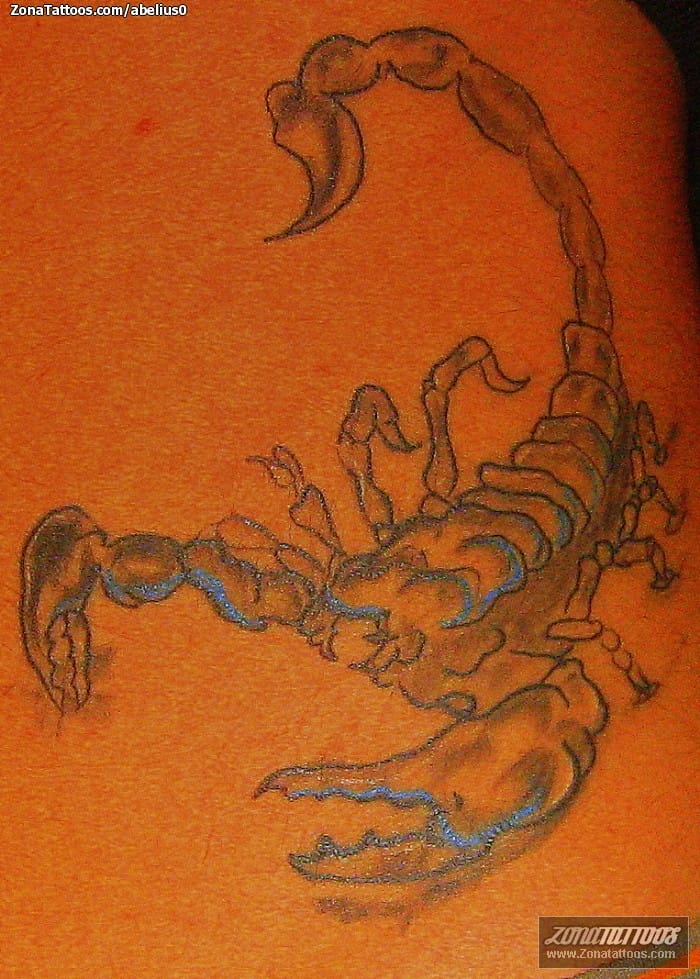 Tattoo photo Scorpions, Insects