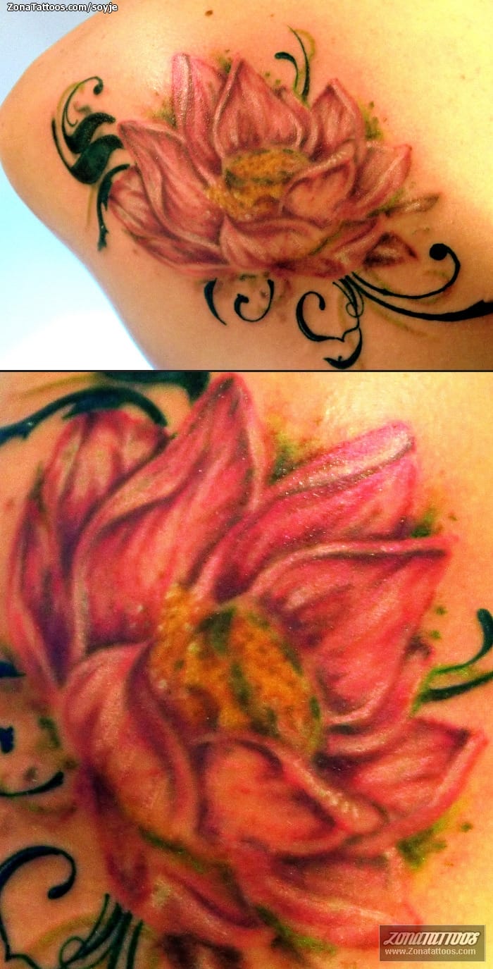 Tattoo photo Flowers, Lotus