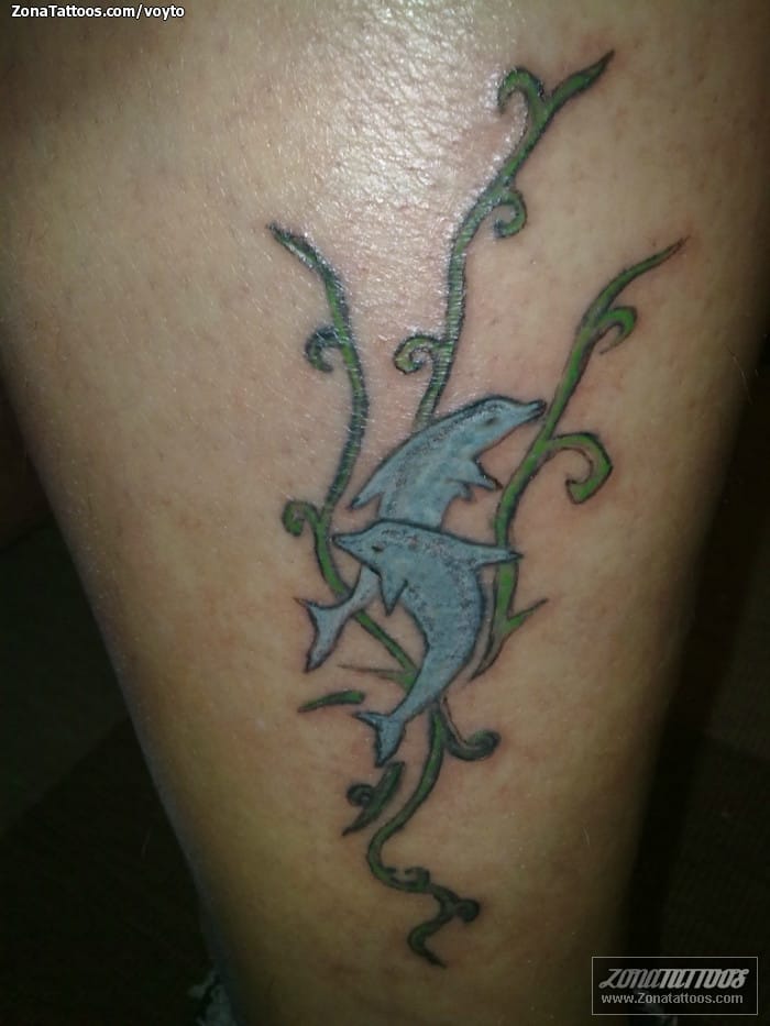 Tattoo photo Animals, Dolphins