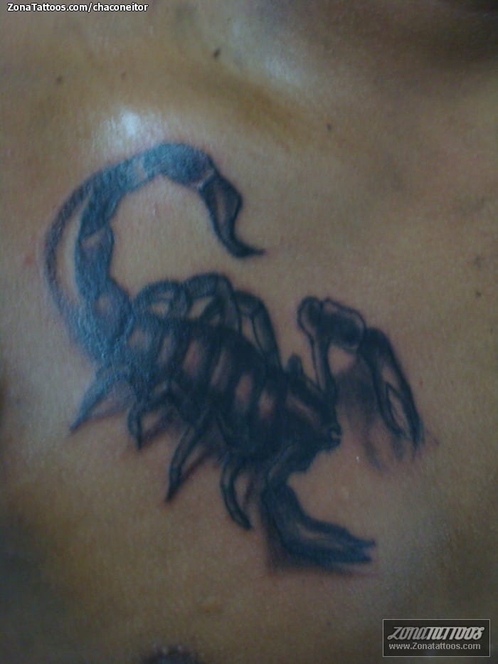 Tattoo of Insects, Scorpions