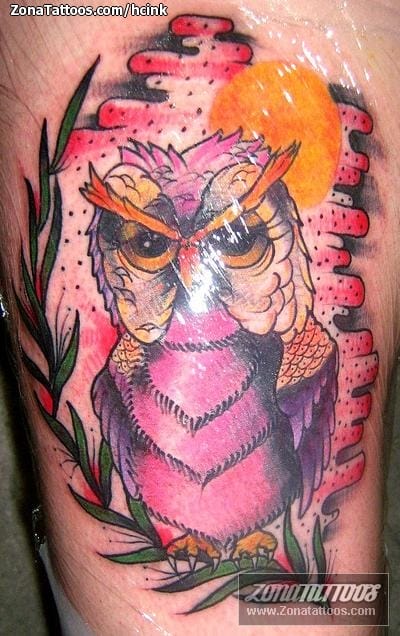 Foto de tatuaje Búhos, Aves, Animales