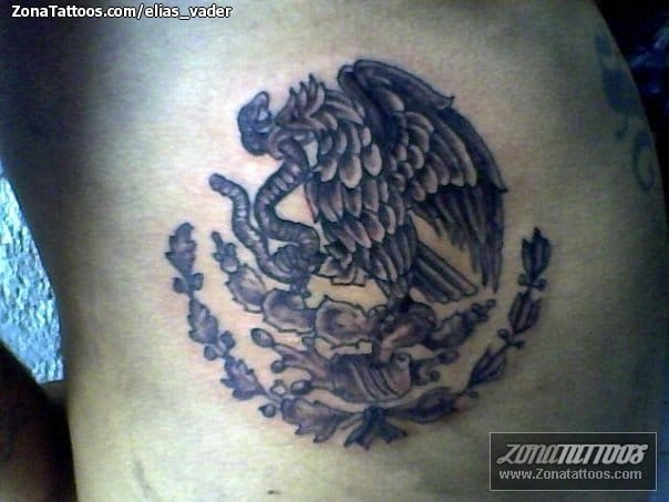 Foto de tatuaje Águilas, Aves, Animales