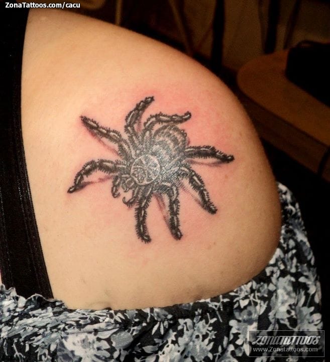 Tattoo photo Tarantulas, Insects