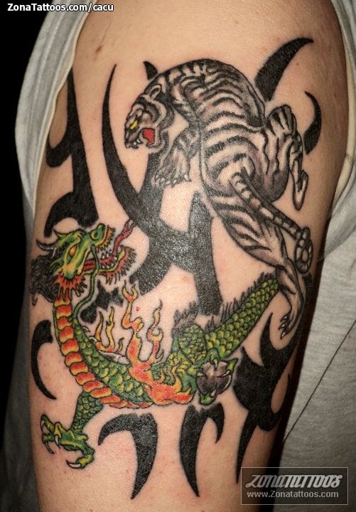 Foto de tatuaje Tigres, Dragones, Orientales