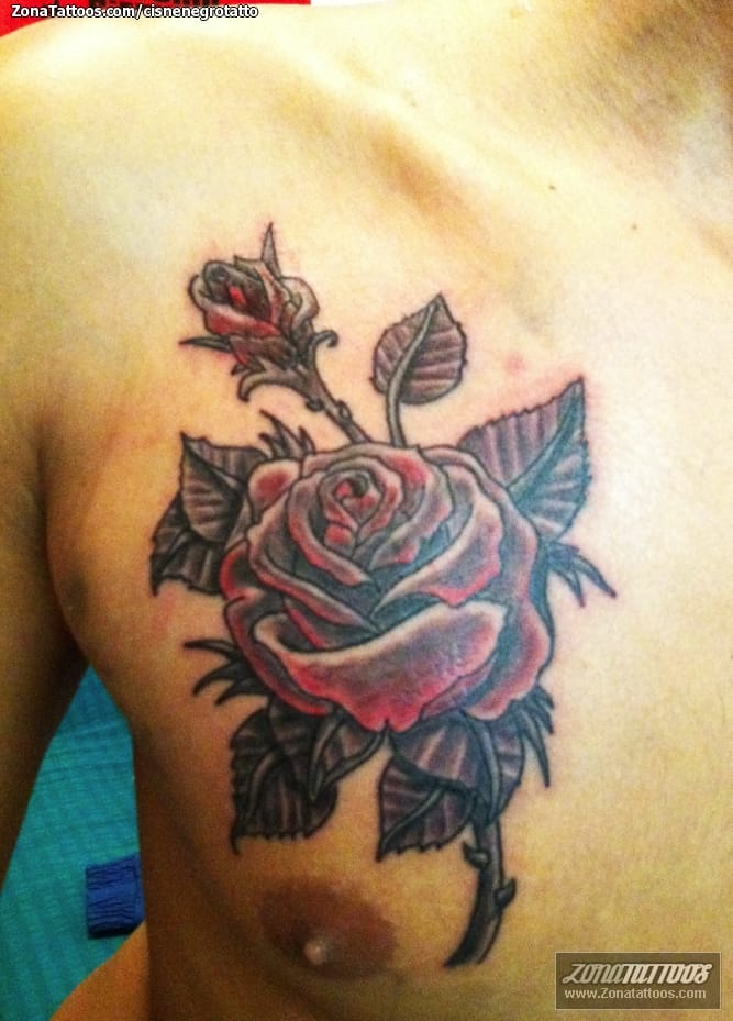 Foto de tatuaje Pecho, Flores, Rosas