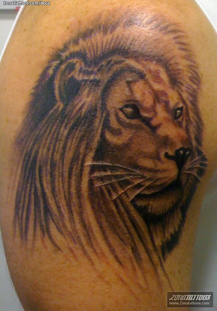 Tattoo photo Animals, Lions