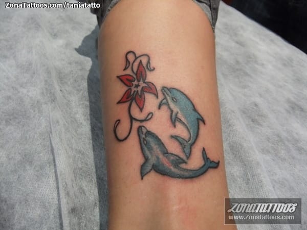 Foto de tatuaje Delfines, Animales