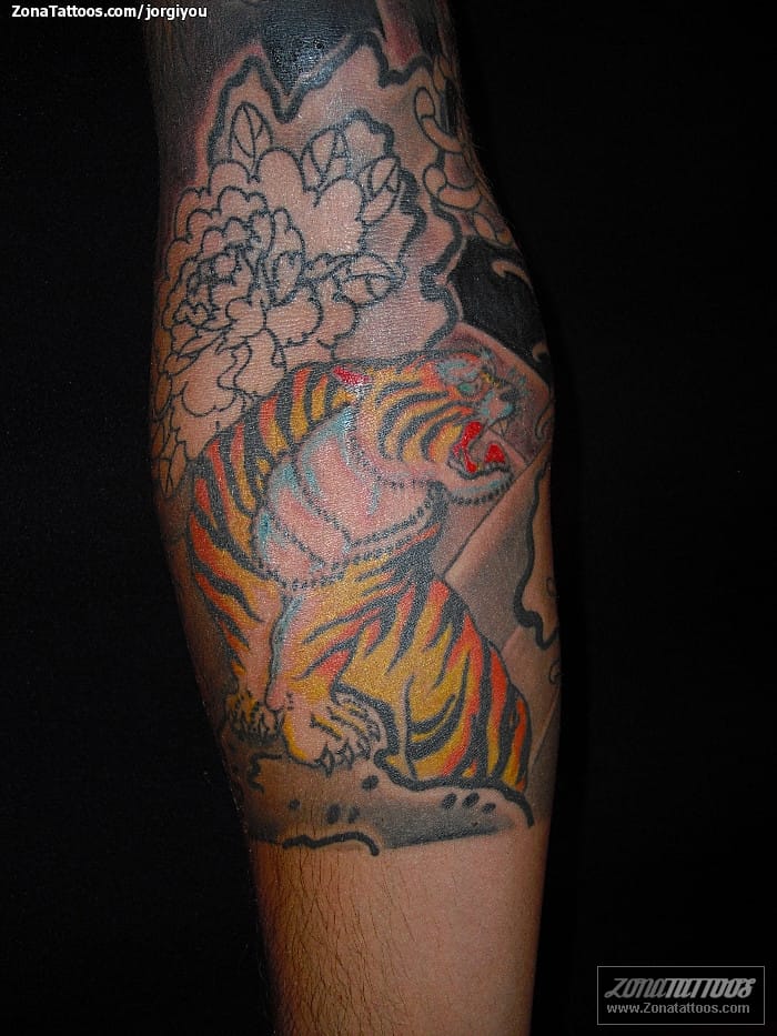 Foto de tatuaje Tigres, Animales, Orientales