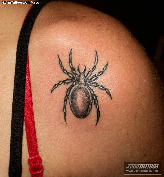 Foto de tatuaje Arañas, Insectos