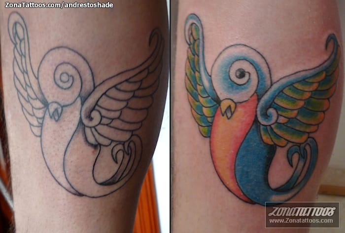 Foto de tatuaje Golondrinas, Aves, Animales