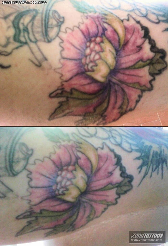 Tattoo photo Lotus, Flowers