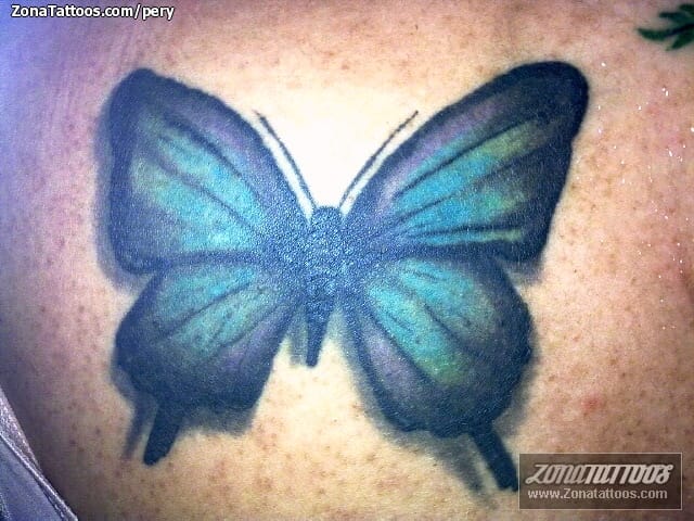 Tattoo photo Butterflies, Insects