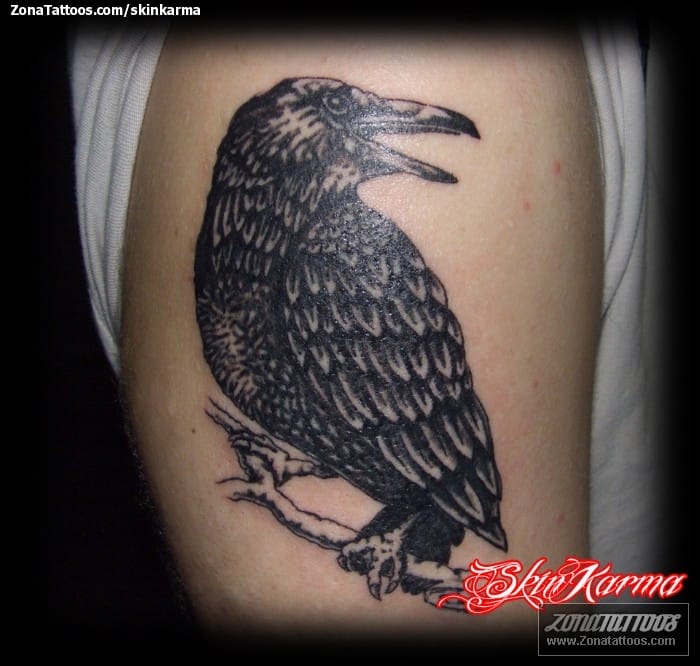 Foto de tatuaje Aves, Cuervos, Animales