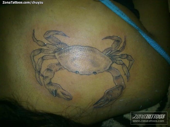 Foto de tatuaje Animales, Cangrejos