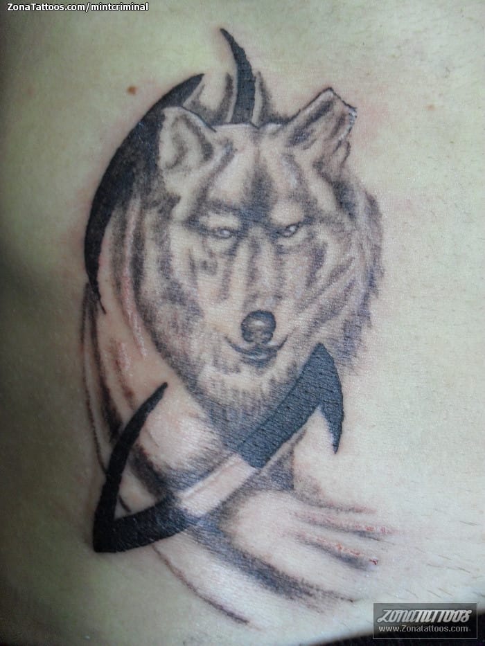 Foto de tatuaje Animales, Tribales, Lobos