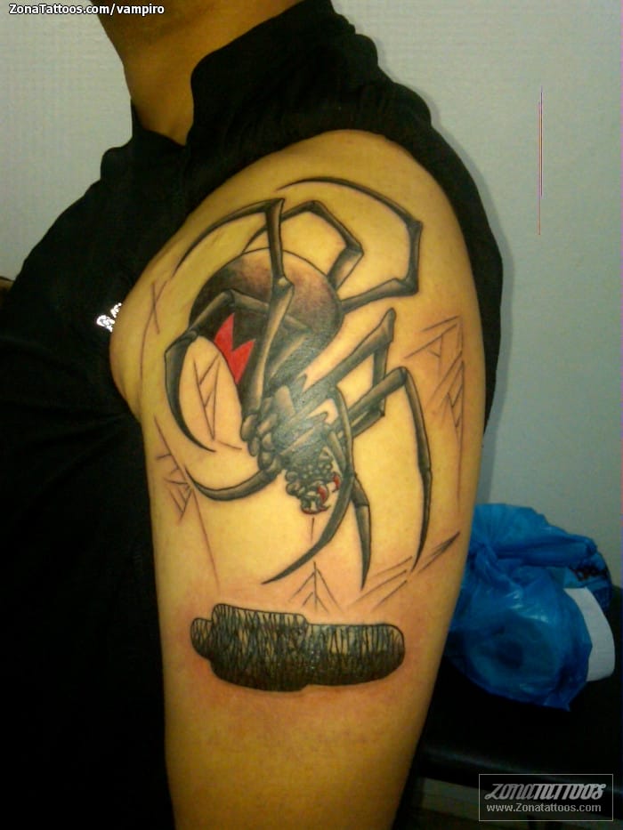 Tattoo photo Spiders, Insects