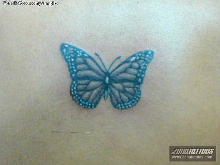 Foto de tatuaje Mariposas, Insectos