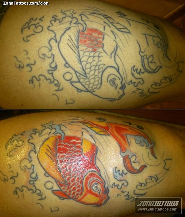 Tattoo photo Koi, Fish, Animals