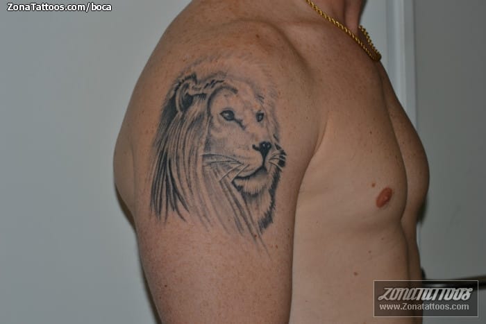 Tattoo photo Animals, Lions