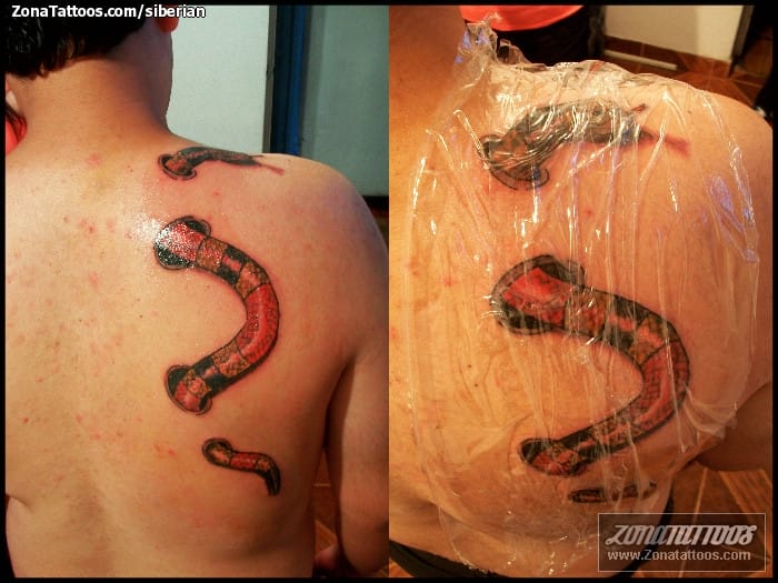 Tattoo photo Snakes, Animals