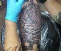 Tatuaje de eloy1