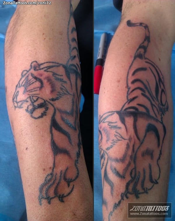 Tattoo photo Tigers, Animals