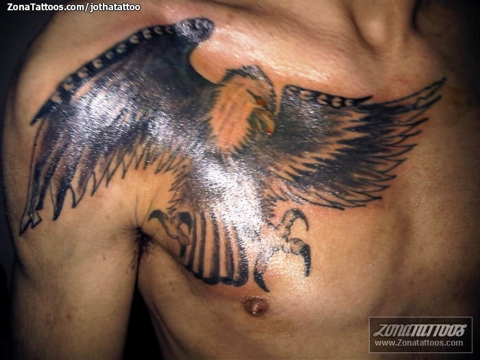 Foto de tatuaje Águilas, Aves, Animales