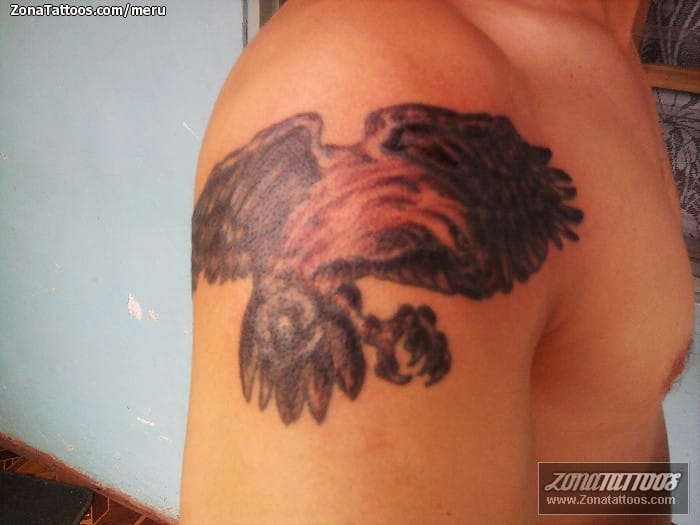 Tattoo photo Birds, Eagles, Shoulder