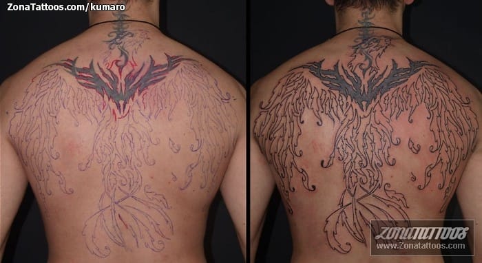 Tattoo photo Tribal, Phoenix, Back