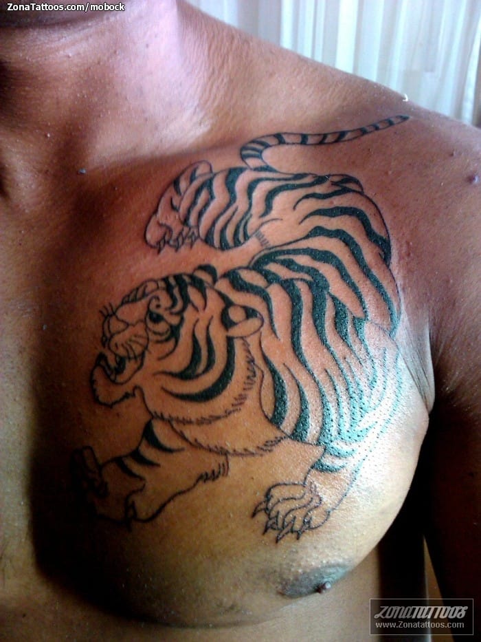 Foto de tatuaje Animales, Tigres, Pecho