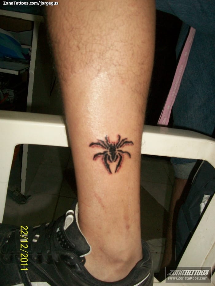 Foto de tatuaje Arañas, Insectos