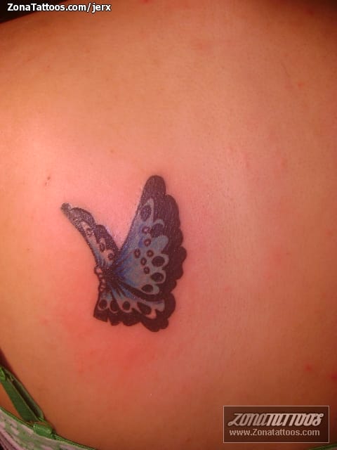 Foto de tatuaje Mariposas, Insectos