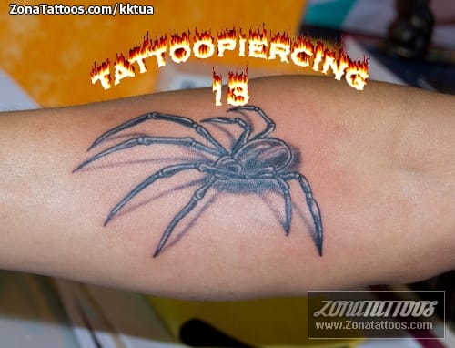 Foto de tatuaje Arañas, Insectos