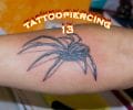 Tatuaje de kktua