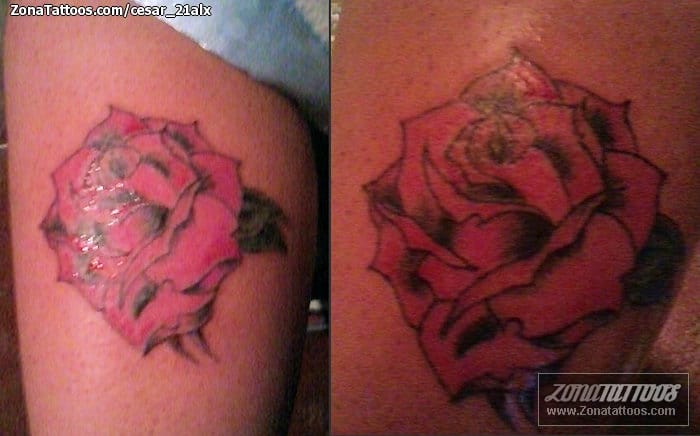 Tattoo photo Roses, Flowers