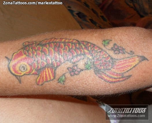 Tattoo photo Fish, Koi, Animals