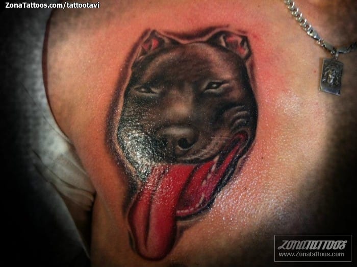 Foto de tatuaje Perros, Animales, Pecho