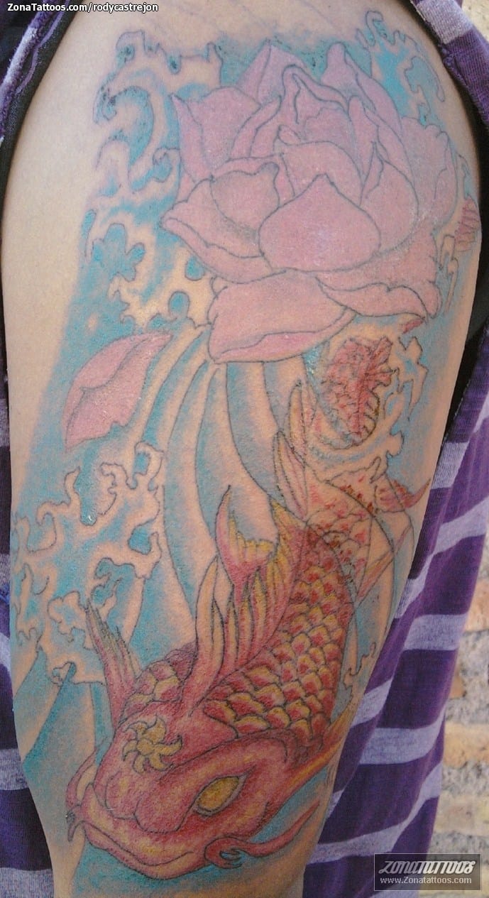 Tattoo photo Koi, Fish, Animals