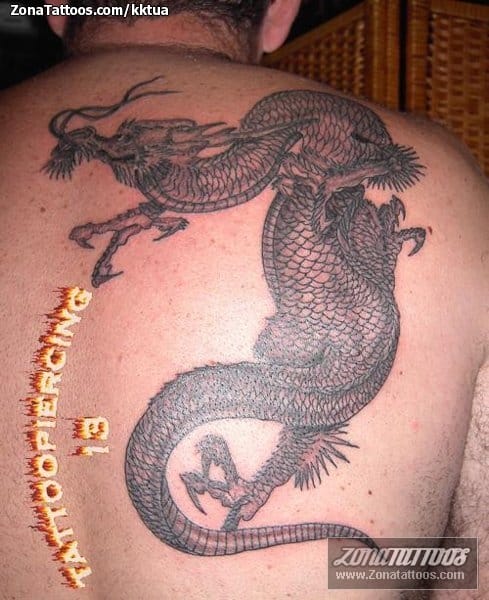 Tattoo photo Dragons, Asian, Back