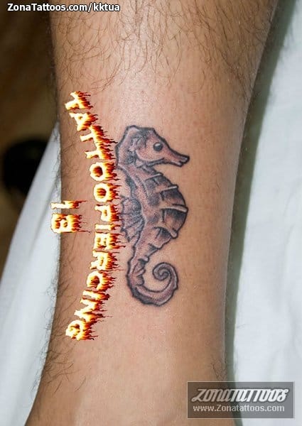 Foto de tatuaje Caballitos de mar, Animales